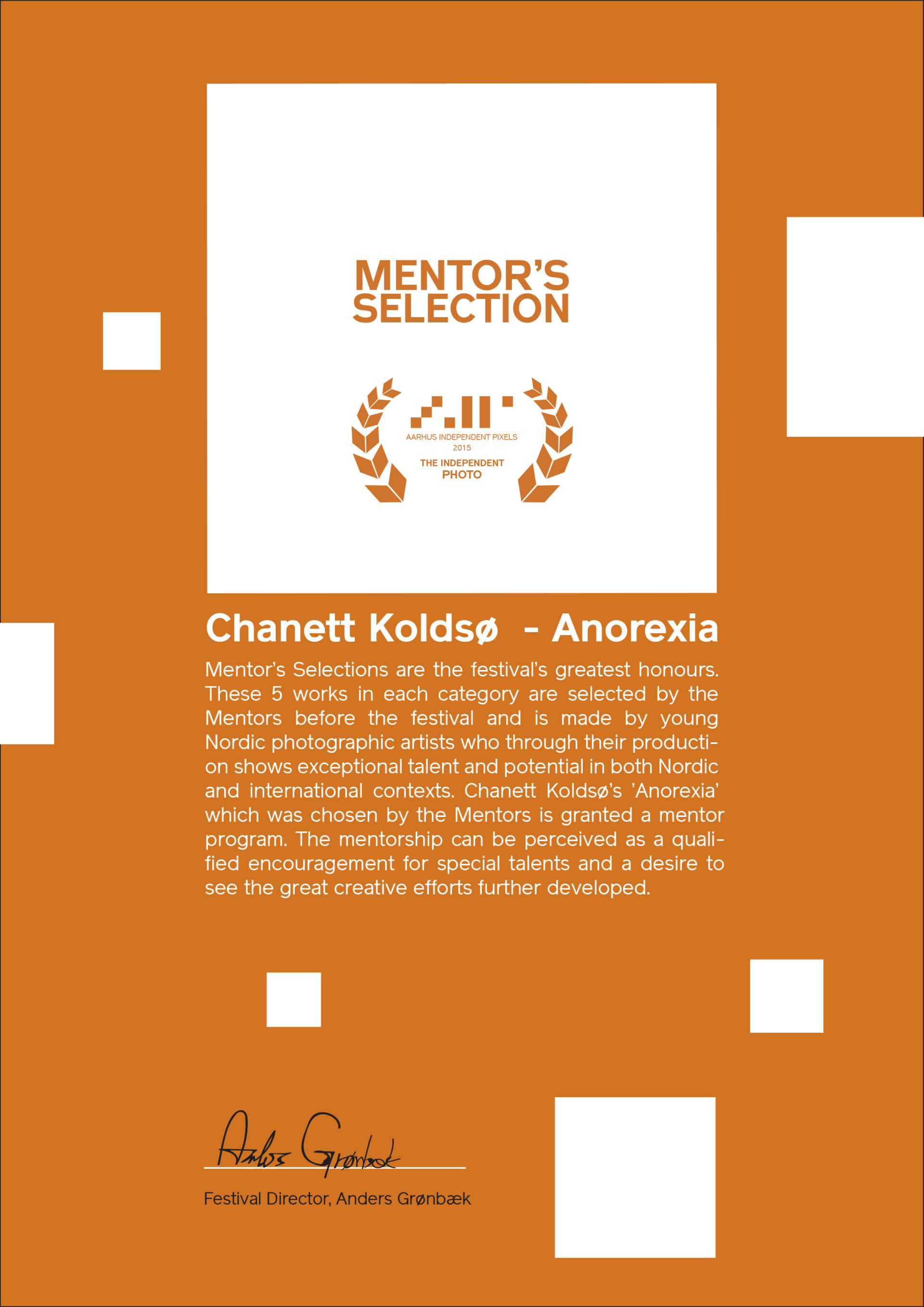 AARHUS INDEPENDENT PIXELS 2015 - MENTOR'S SELECTION AARHUS INDEPENDENT PIXELS 2015 - MENTOR'S SELECTION